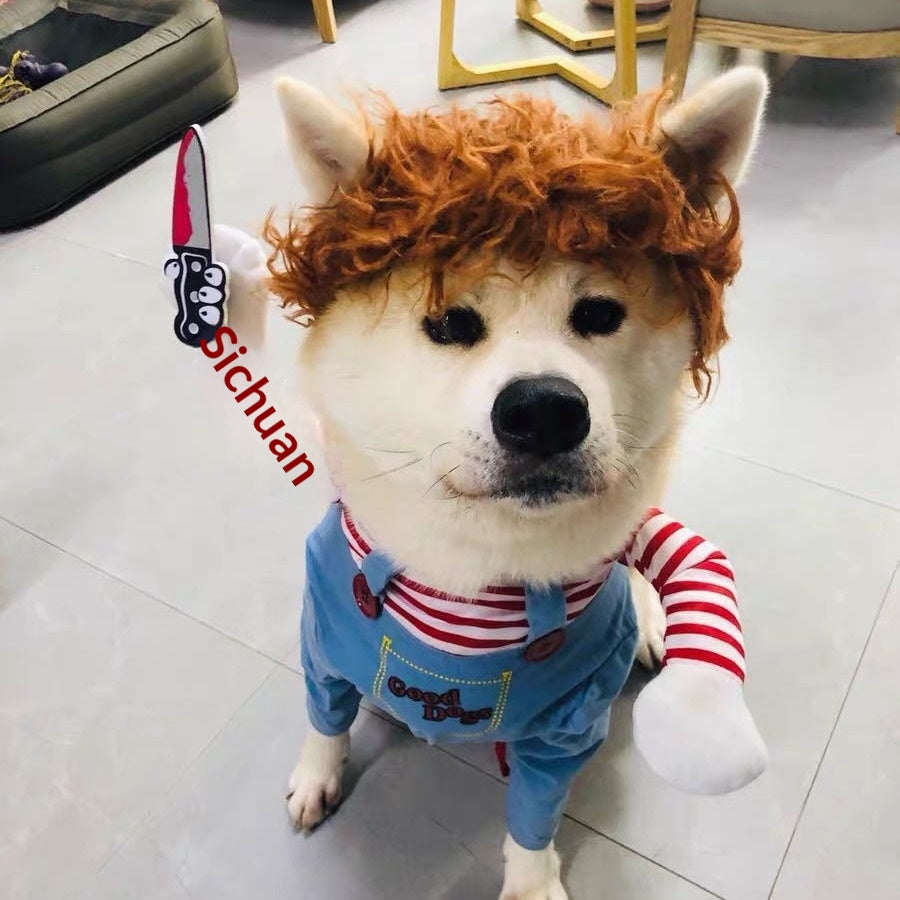 Seasonal Pet Costume & Clothing Set