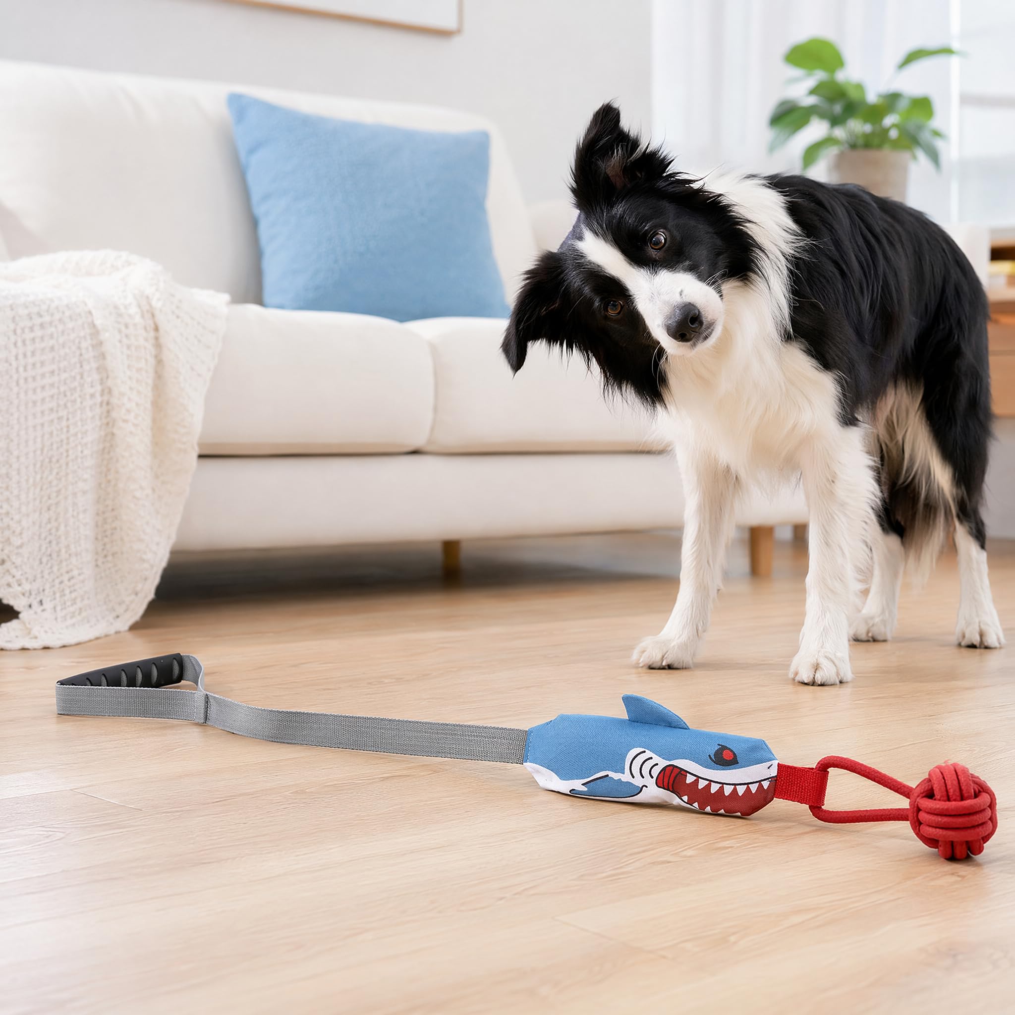 Shark Squeaky Tug of War Rope Dog Toy