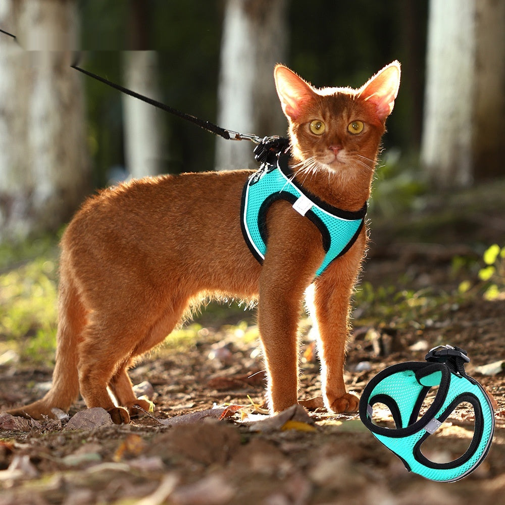 Mesh Vest Harness & Leash Set for Dogs & Cats
