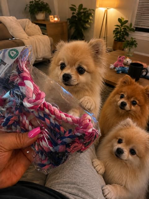 Mini Rope Chew Toy Pack for Small Dogs – 4 Pack